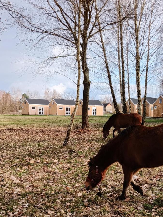 Zagajnik Country Camp Obok Suntago Grabce-Towarzystwo Exterior foto